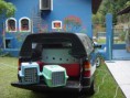 Taxi Dog
